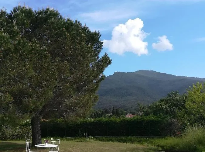 Apartamento Le Quatorze Laroque-des-Albères